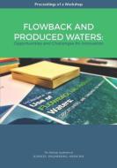 Flowback and Produced Waters: Opportunities and Challenges for Innovation: Proceedings of a Workshop di National Academies Of Sciences Engineeri, Division On Earth And Life Studies, Water Science And Technology Board edito da NATL ACADEMY PR