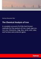 The Chemical Analysis of Iron di Andrew Alexander Blair edito da hansebooks
