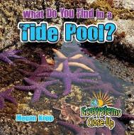 What Do You Find in a Tide Pool? di Megan Kopp edito da CRABTREE PUB
