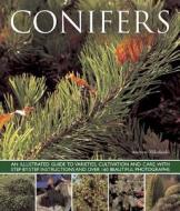 Conifers di Andrew Mikolajski edito da Anness Publishing