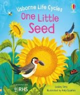 One Little Seed di Lesley Sims edito da Usborne Publishing Ltd