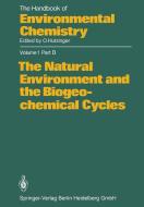 The Natural Environment and the Biogeochemical Cycles edito da Springer-Verlag GmbH