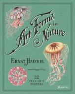 Ernst Haeckel: Art Forms In Nature: 22 Pull-out Posters di Ernst Haeckel edito da Prestel