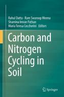 Carbon and Nitrogen Cycling in Soil edito da Springer Singapore