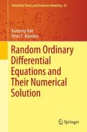 Random Ordinary Differential Equations and their Numerical Solution di Xiaoying Han, Peter E. Kloeden edito da Springer-Verlag GmbH