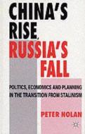 China's Rise, Russia's Fall di Peter Nolan edito da Palgrave Macmillan UK