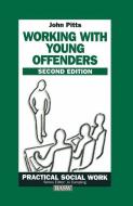 Working with Young Offenders di John Pitts edito da Macmillan Education UK