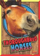 Thoroughbred Horses di Elizabeth Noll edito da BLACK RABBIT BOOKS