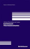Continuum Thermomechanics di Alfredo Bermúdez De Castro edito da Birkhäuser Basel