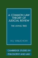 A Common Law Theory of Judicial Review di W. J. Waluchow edito da Cambridge University Press