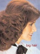 Big Hair di James Innes-Smith edito da Bloomsbury Publishing Plc