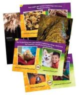 Cave Quest Imagination Station Poster Pack Set of 11 Posters edito da Group Publishing (CO)