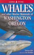 Whales and Other Marine Mammals of Washington and Oregon di Tamara Eder edito da LONE PINE PUB