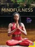 Mindfulness di Heather Kissock edito da AV2 BY WEIGL