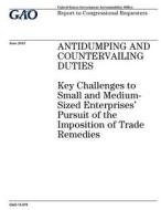 Antidumping and Countervailing Duties: Key Challenges to Small and Medium- Sized Enterprises' Pursuit of the Imposition of Trade Remedies di United States Government Account Office edito da Createspace Independent Publishing Platform
