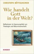 Wie handelt Gott in der Welt? di Christoph Böttigheimer edito da Herder Verlag GmbH