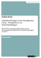 Arbeitsbeziehungen in der Europäischen Union -  Perspektiven von Tarifverhandlungen di Andreas Brand edito da GRIN Publishing