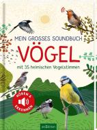 Mein großes Soundbuch Vögel di Eva Wagner edito da Ars Edition GmbH