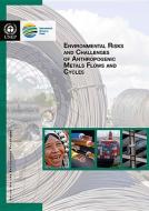 Environmental Risks and Challenges of Anthropogenic Metals Flows and Cycles di United Nations Environment Programme edito da United Nations Publications