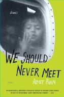 We Should Never Meet di Aimee Phan edito da Picador USA