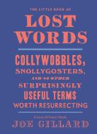 The Little Book of Lost Words di Joe Gillard edito da Ten Speed Press