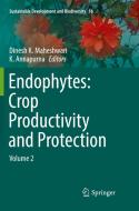Endophytes: Crop Productivity And Protection edito da Springer International Publishing Ag
