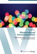 Photoinduced Ferromagnetism di Subodha Mishra edito da AV Akademikerverlag