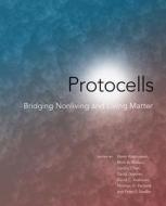 Protocells - Bridging Nonliving and Living Matter di Steen Rasmussen edito da MIT Press