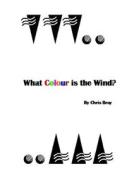 What Colour is the Wind? di Chris Bray edito da Lulu.com