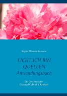 Licht ich bin Quellen - Das Anwendungsbuch di Brigitta Manuela Baumann edito da Books on Demand