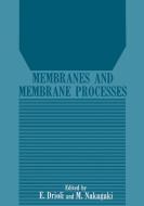 Membranes and Membrane Processes di Enrico Drioli, Masayuki Nakagaki edito da Springer Science+Business Media