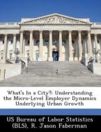 What\'s In A City? di R Jason Faberman edito da Bibliogov