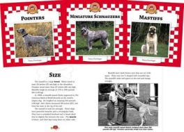 Dogs Set 6 di Nancy Furstinger edito da Checkerboard Books