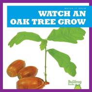 Watch an Oak Tree Grow di Kirsten Chang edito da JUMP