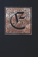 Notebook: Gothic Initial E - Copper on Black - Lined Diary / Journal di Andante Press edito da LIGHTNING SOURCE INC