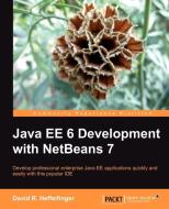 Java Ee 6 Development with Netbeans 7 di David Heffelfinger edito da PACKT PUB
