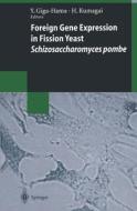 Foreign Gene Expression in Fission Yeast: Schizosaccharomyces pombe edito da Springer Berlin Heidelberg