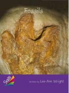 Rigby Reading Sails: Leveled Reader Purple Grade 3 Book 2: Fossils edito da STECK VAUGHN CO