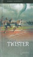A Boy Called Twister di Anne Schraff edito da TURTLEBACK BOOKS