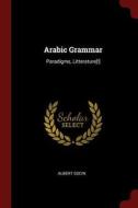 Arabic Grammar: Paradigms, Litterature[!] di Albert Socin edito da CHIZINE PUBN
