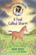 Jasmine Green Rescues: A Foal Called Storm di Helen Peters edito da WALKER BOOKS US