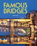 PM: Leveled Reader Emerald Level 25 Famous Bridges edito da RIGBY