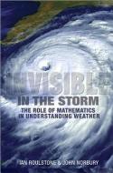 Invisible in the Storm di Ian Roulstone, John Norbury edito da Princeton University Press