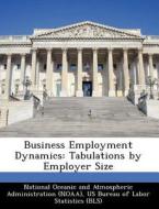 Business Employment Dynamics di Shai J Butani edito da Bibliogov