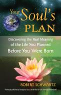 Your Soul's Plan di Robert Schwartz edito da Frog Ltd