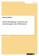 Innere Kündigung. Ursachen und Auswirkungen eines Phänomens di Andreas Mederer edito da GRIN Verlag