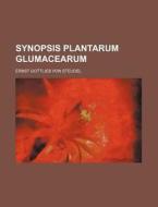 Synopsis Plantarum Glumacearum di Ernst Gottlieb Von Steudel edito da Rarebooksclub.com