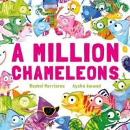 A Million Chameleons di Rachel Morrisroe edito da Hachette Children's Group