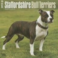 Staffordshire Bull Terriers Calendar edito da Browntrout Publishers