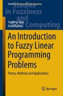 An Introduction to Fuzzy Linear Programming Problems di Jagdeep Kaur, Amit Kumar edito da Springer International Publishing